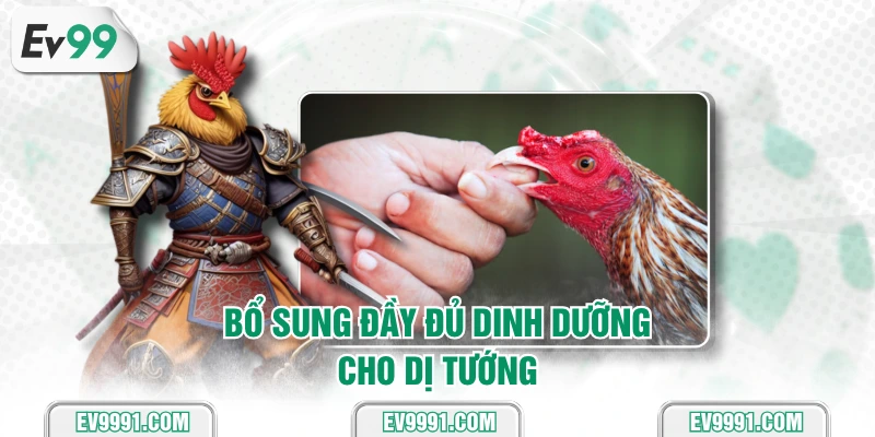 Bổ sung đầy đủ dinh dưỡng cho dị tướng