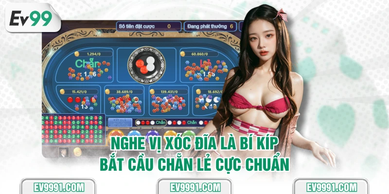 Nghe vị xóc đĩa là bí kíp bắt cầu chẵn lẻ cực chuẩn