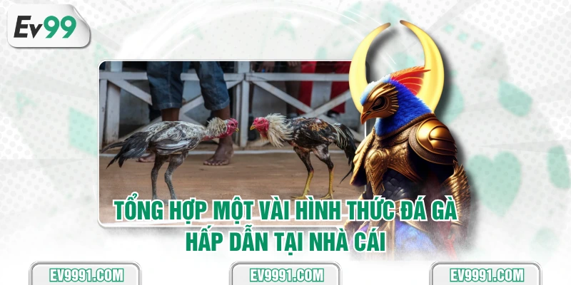 Tổng hợp một vài hình thức đá gà hấp dẫn tại nhà cái