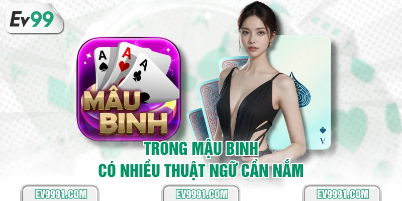 Trong mậu binh có nhiều thuật ngữ cần nắm